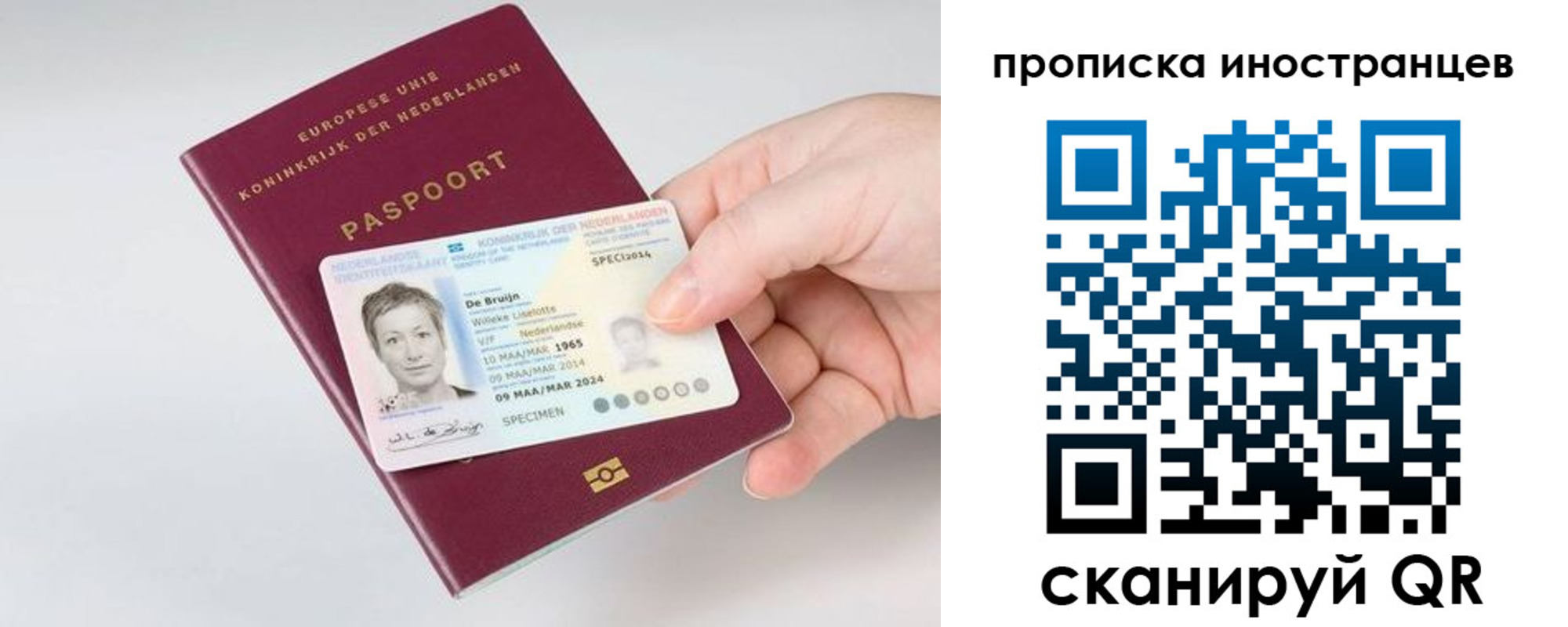 прописка штамп в Лодейном Поле
